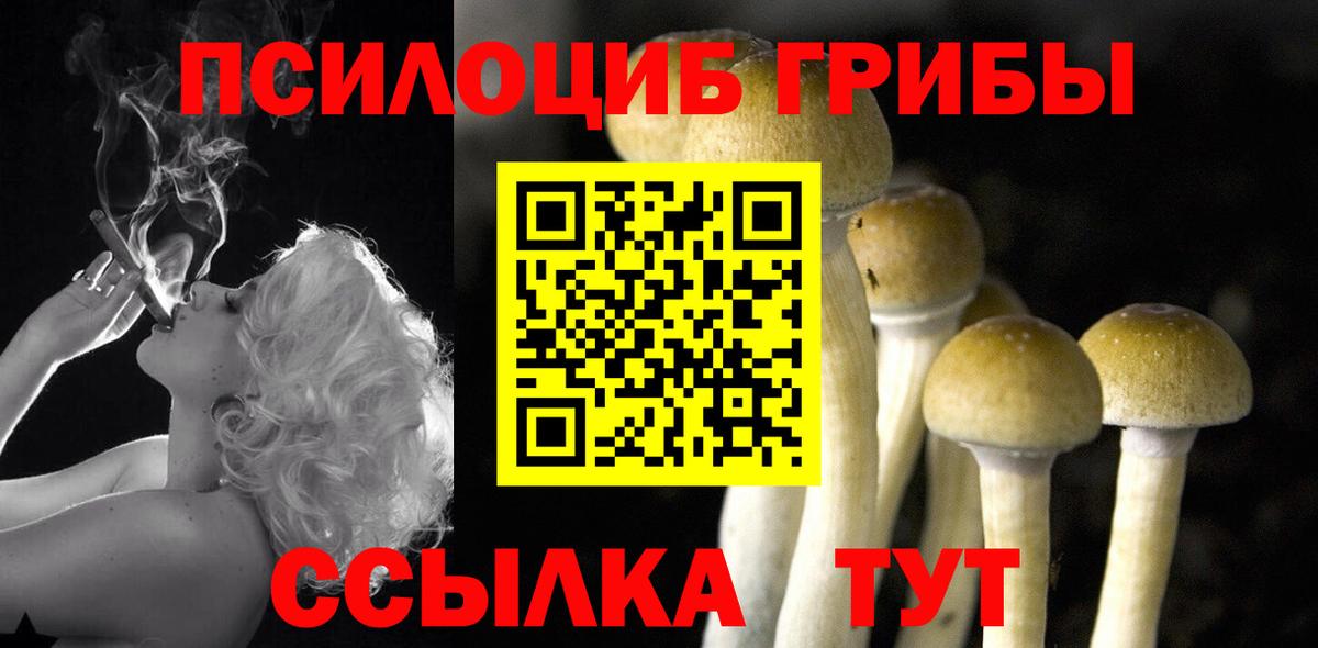 Галлюциногенные грибы MAGIC MUSHROOMS Губаха