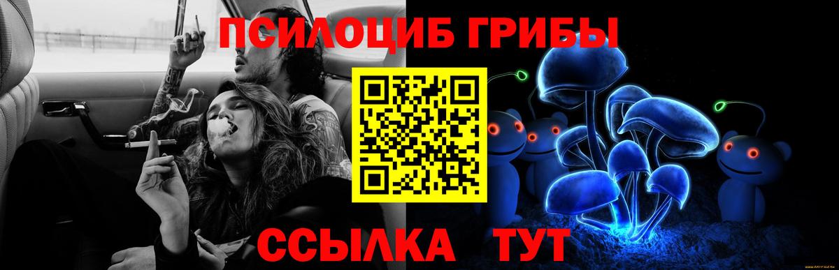 Губаха  Галлюциногенные грибы Magic Shrooms  как найти закладки  Вход с VPN 